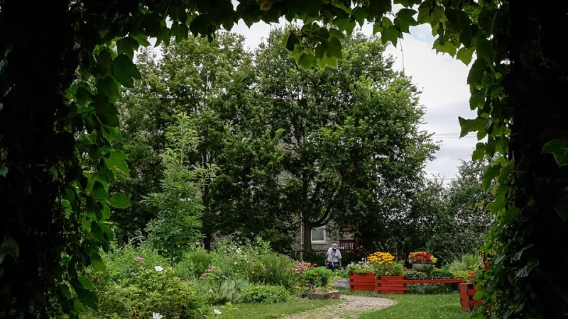 Proximity as Policy: The Rise of Walkable Neighborhood Design in American Cities